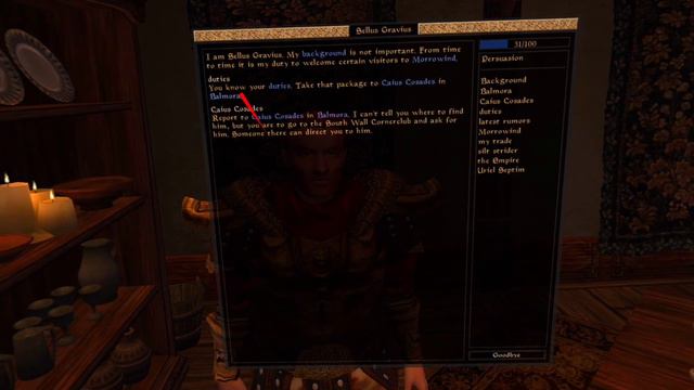 N'wah Tests OpenMW Enhanced In VR (300+ Mods, Wabbajack Modlist)