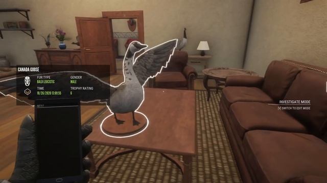 2020 Trophy Lodge Tour! | Almost a Year's Worth of Trophies! смотреть онлайн