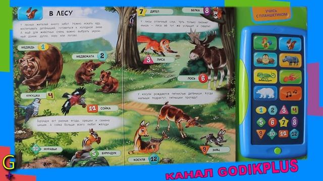 Кто живет в лесу Голоса и звуки животных #2 GODIKPLUS смотреть онлайн