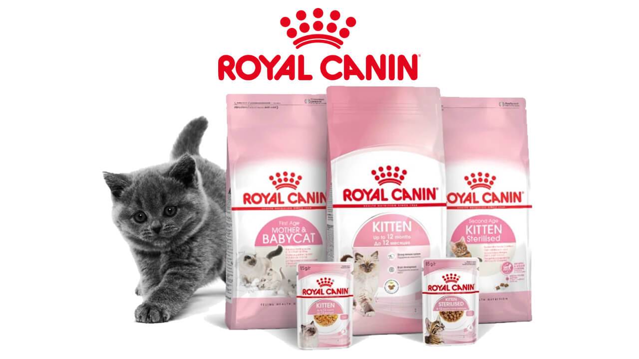 Royal Canin «Kitten Dry&Wet» смотреть онлайн