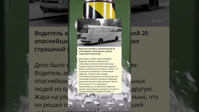 Водитель автобуса, перевозивший 20 опаснейших псих больных, сделал страшный поступок😨 смотреть онлайн