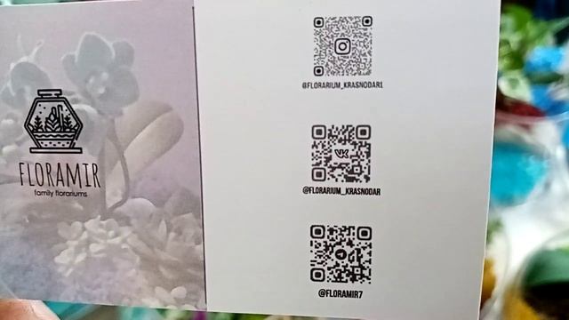 Выставка. И цветы, и листья хоть куда! смотреть онлайн