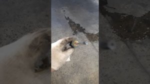 Снятие и установка переднего бампера Лада Х-рей