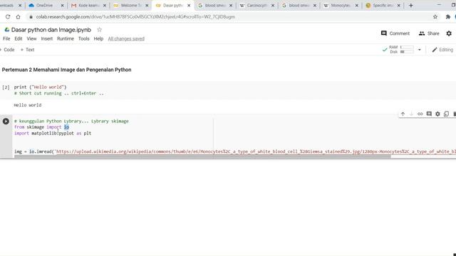 Pertemuan 2 Python dasar dan Image Propertis смотреть онлайн