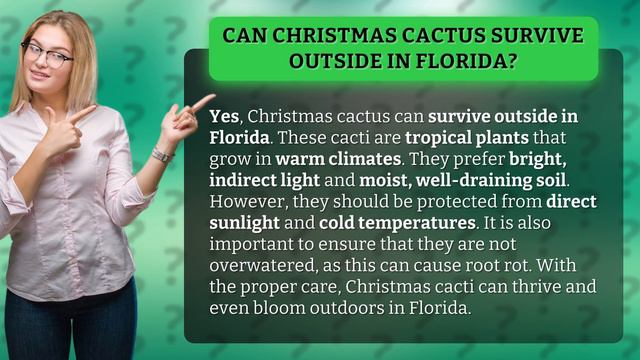 Can Christmas cactus survive outside in Florida? смотреть онлайн