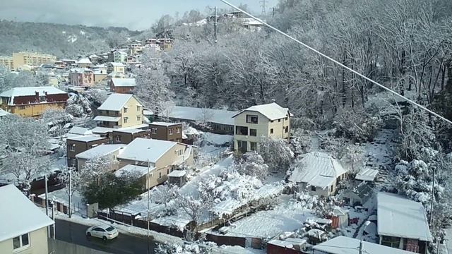 Мартовский снег в Сочи. смотреть онлайн