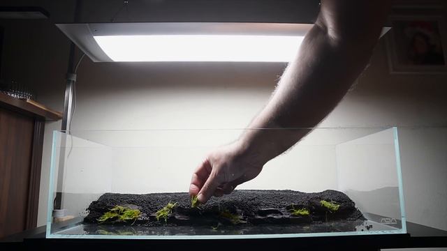 SHALLOW AQUARIUM - SIMPLE AQUASCAPE TUTORIAL смотреть онлайн