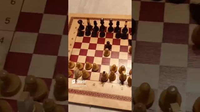 Как легко и быстро поставить детский мат белыми фигурами смотреть онлайн