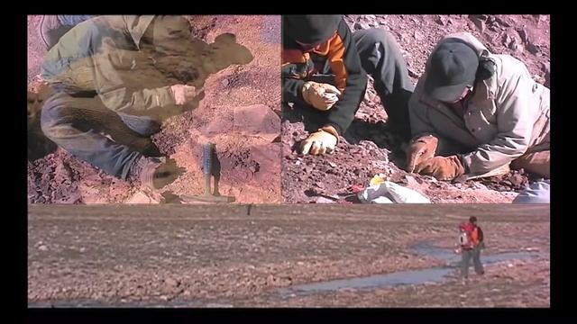 Discovering Tiktaalik - Finding Our Feet