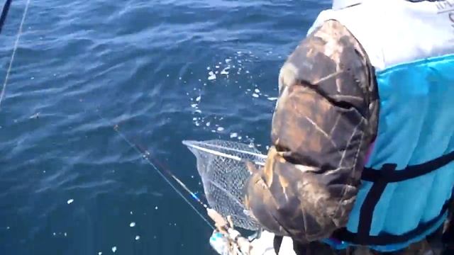 YAMAHAｽﾀｰｴｰｽARCTURUS号東京湾釣行 第一海堡・第二海堡 смотреть онлайн