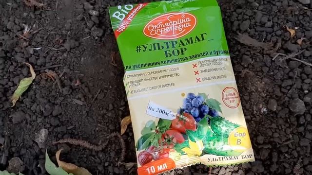 Срочно Дайте Томатам БОР в ИЮНЕ. Урожай ведрами. Раскрываю рецепт подкормки томат летом. смотреть онлайн