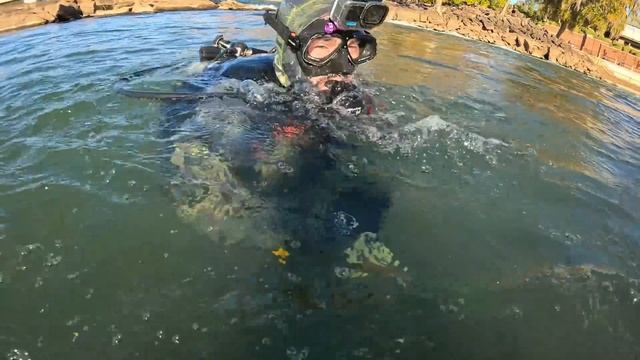 Would You Dive in a Drained River? Find Out! (WATER RISES) смотреть онлайн