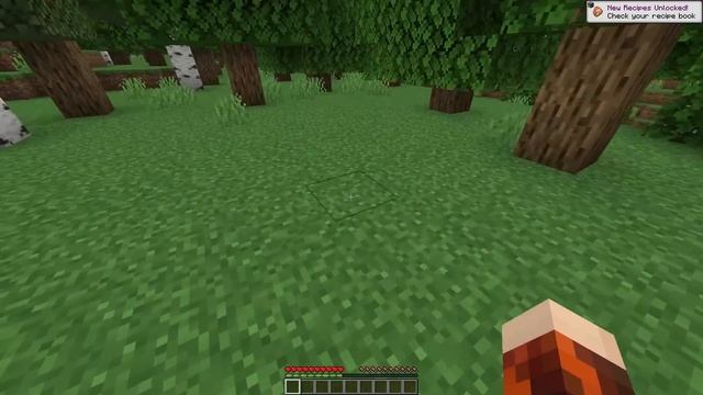 Letöltöttem 10+ Ismeretlen Minecraft Modot! смотреть онлайн