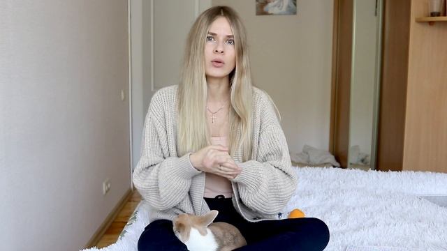 Плюсы и минусы маленьких собак / плюсы и минусы чихуахуа, шпица, терьера, бишон фризе и другие смотреть онлайн