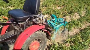 Копка картохи 2021 МТЗ 112 Н - 01