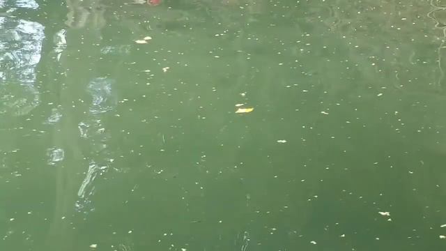 El Capulin Moncagua, San Miguel, el Salvador Piscinas naturales de los mejor 2021. смотреть онлайн