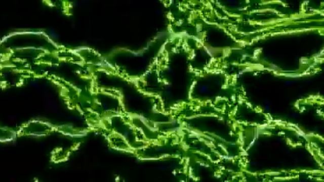 Ugo Capeto - Optimus (melodic electronica) смотреть онлайн