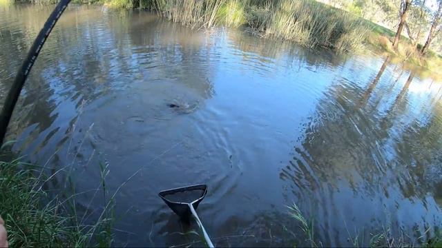 big BIG BIIIIG carp fishing смотреть онлайн