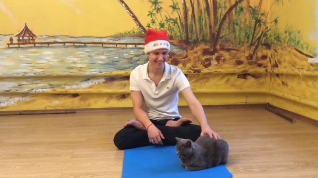 Поздравление с Новым 2017 годом. смотреть онлайн