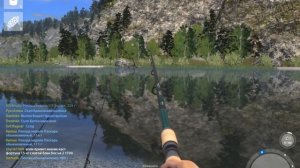 Russian Fishing 4 Река Белая. Фидеры. Форель