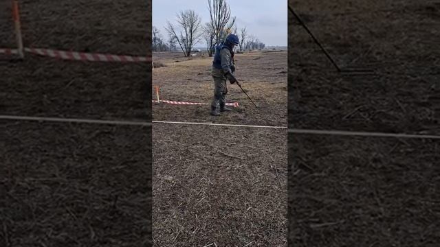 Работа с металлоискателями Альфамарин 5000 смотреть онлайн