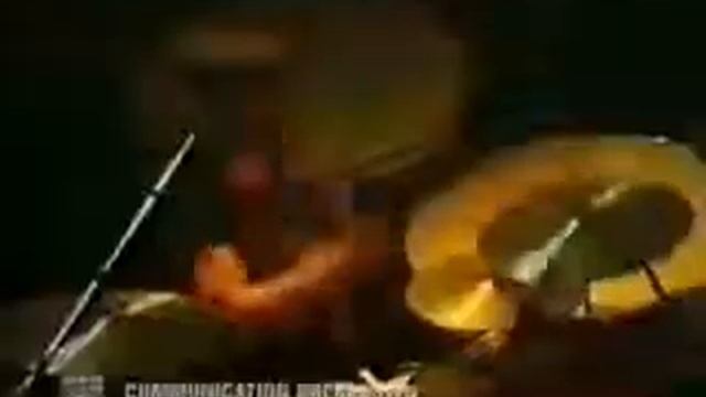 Led Zeppelin танцуют мини танец смотреть онлайн