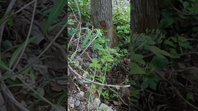 Хорошая находка! смотреть онлайн