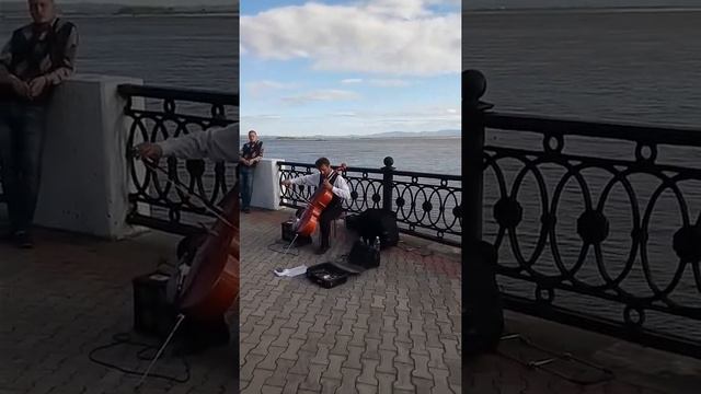 Виолончелист на набережной Амура г. Хабаровска
