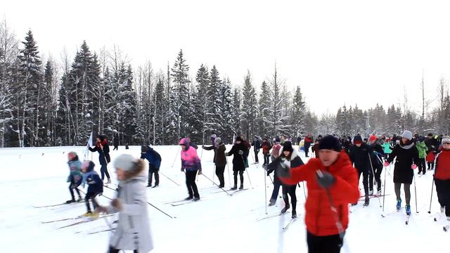 Лыжня России 2020 смотреть онлайн