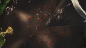 Умпа-Лумпа - Август Глуп (Augustus Gloop) (Чарли и шоколадная фабрика) (720p) (Субтитры)