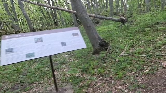 Гора Стрижамент. Прогулка по экологической тропе. смотреть онлайн