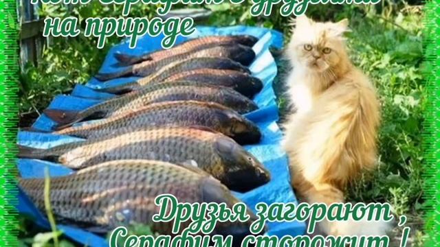 Ловись рыбка мала и велика ... смотреть онлайн