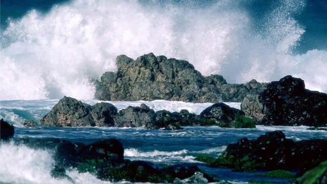 Звуки природы. Шум моря. Крик чаек. смотреть онлайн