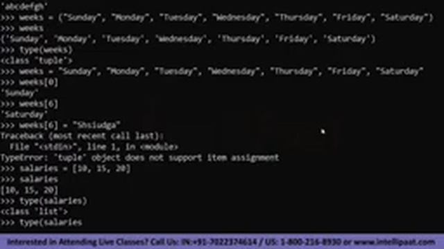Python Course | Python Programming Tutorial | Learn Python | Intellipaat смотреть онлайн