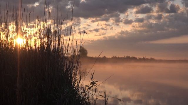 Фидерная рыбалка на карася , густеру . Рыбалка на Маныче . смотреть онлайн
