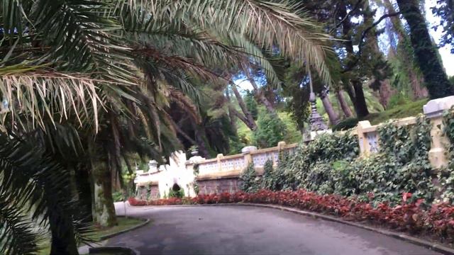 24 июля 2022 г. смотреть онлайн