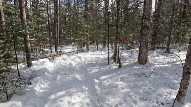 Compact Tractor Logging In Central Maine смотреть онлайн