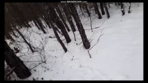 Как поставить петли на зайца ,часть 1-2