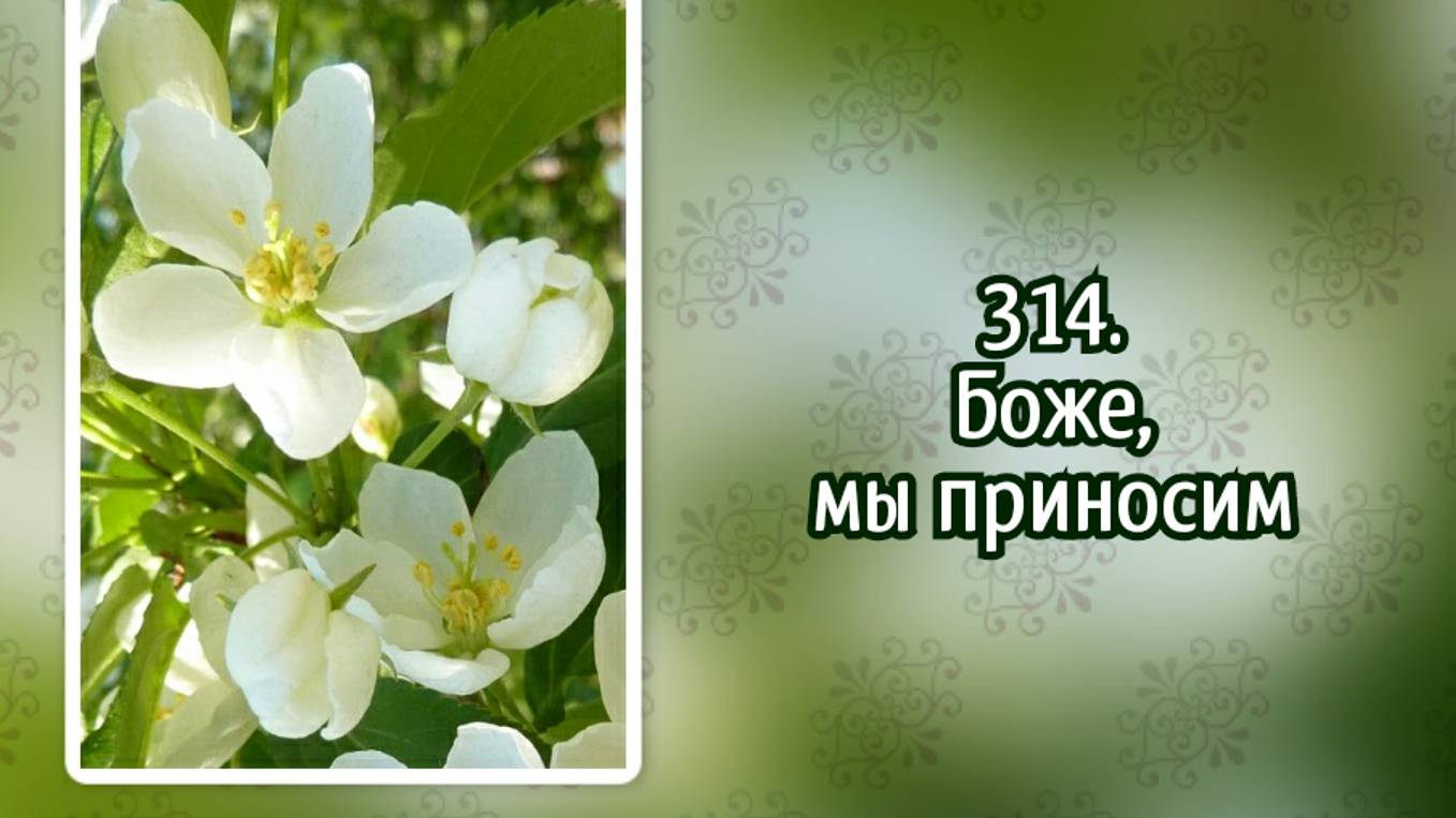 Гимны надежды 314 Боже, мы приносим (-) смотреть онлайн