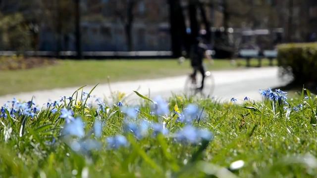 Фон природа футажи для видеомонтажа HD смотреть онлайн