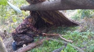 Как быстро построить укрытие в лесу!!! БУШКРАФТ. ВЫЖИВАНИЕ