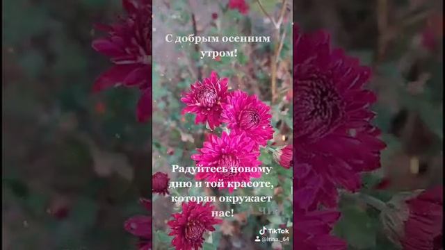 С добрым осенним утром! смотреть онлайн