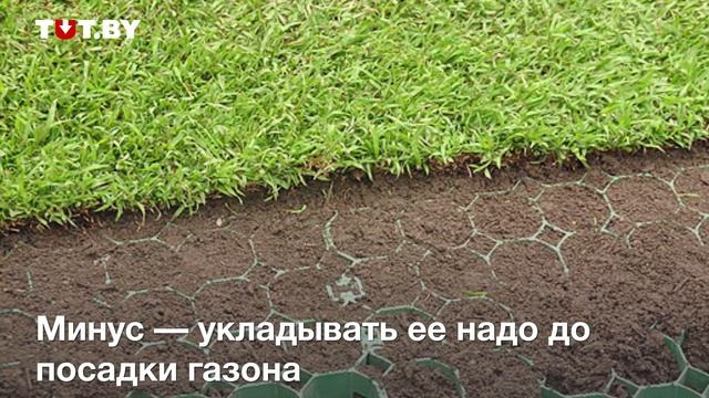 Как избавиться от кротов смотреть онлайн