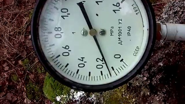 Березовый сок, корневое давление. смотреть онлайн