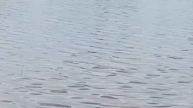 прогулки выходного дня смотреть онлайн