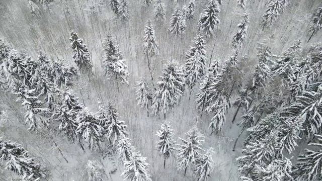 Звуки природы / Звук метели / Метель вьюга смотреть онлайн