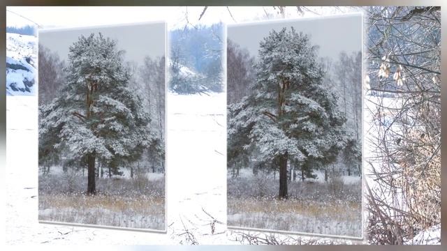 Зимние картинки