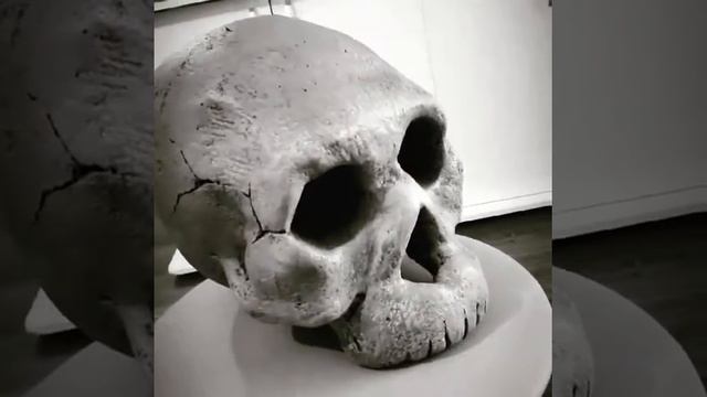 Грот для аквариумных рыбок, в виде черепа, своими руками. смотреть онлайн