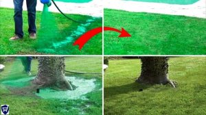 Гидропосев травы hydro mousse (жидкий газон), газон своими руками