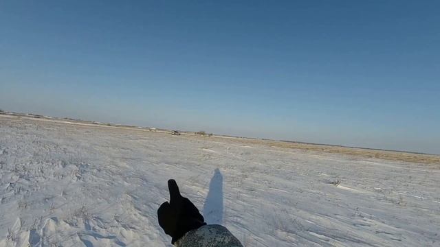 Охота на зайца или охота на косого в МОРОЗЫ смотреть онлайн